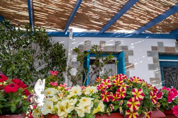 Aménagement d'un espace extérieur esthétique et confortable grâce à la pergola