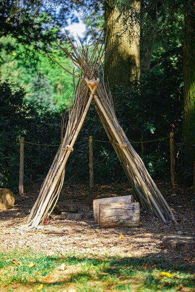 Quels sont les avantages du tipi pour chien ?