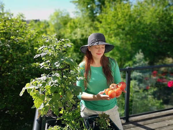 Comment cultiver ses propres légumes sur un balcon ?
